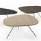 Leolux speelse salontafels Liliom - 2